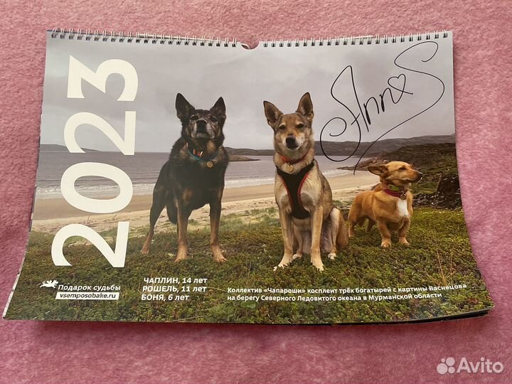 Календарь с аатографом Анны Щербаковой
