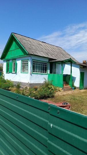 Дом 47 м² на участке 25 сот.