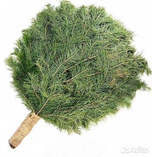 Веники для бани пихта