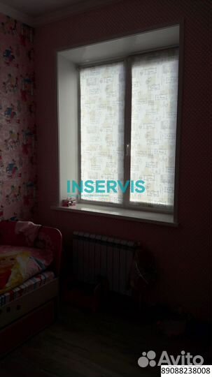 Зебра день ночь