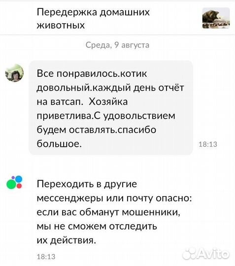 Передержка домашних животных