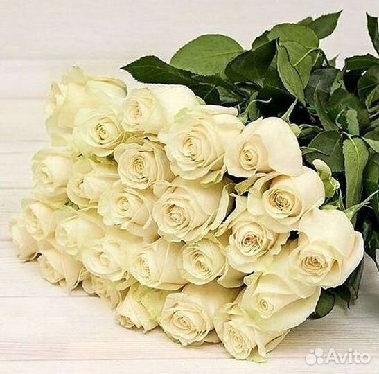 Розы высокие Доставка цветов