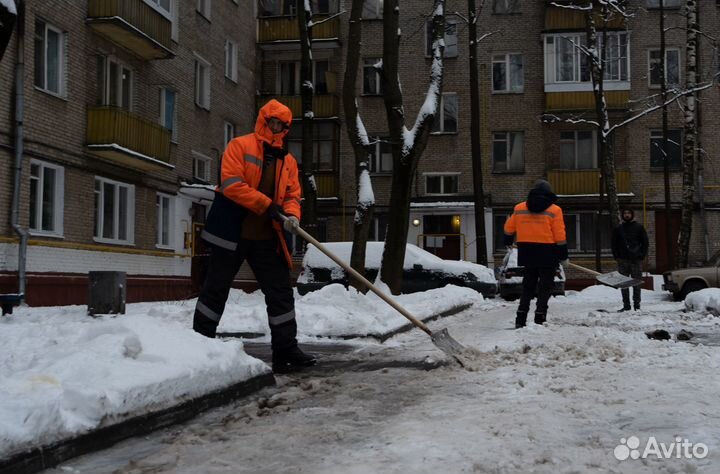 Разнорабочие