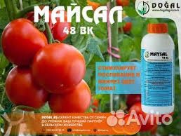 Агростим Maysal