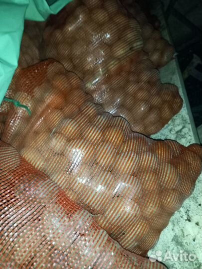 Картофель домашний