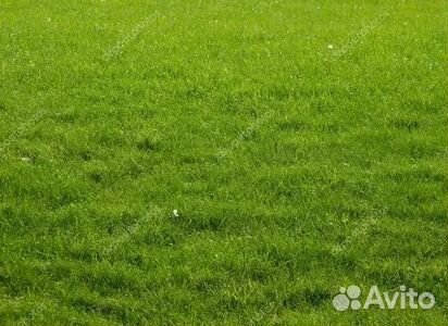 Гидропосев