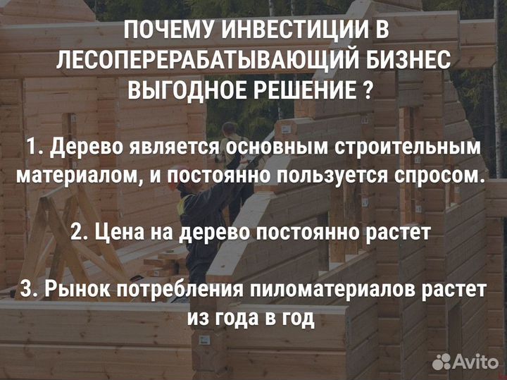 Инвестиции в лесозаготовки 60% годовых