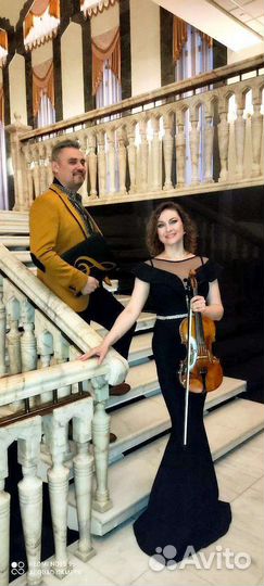 Скрипач на праздник