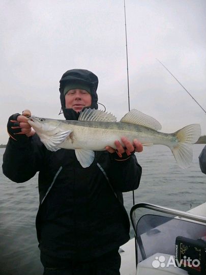 Рыбалка с гидом в Калининградской области