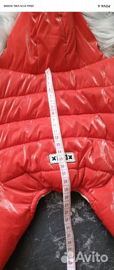 Одежда для маленькой собачки