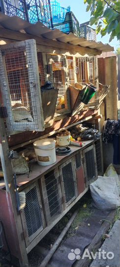 Клетка для кроликов и другой живно