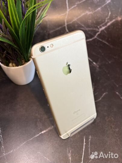 iPhone 6s Plus (64 GB) Gold