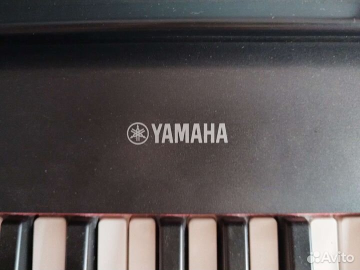 Yamaha pidggero np-12