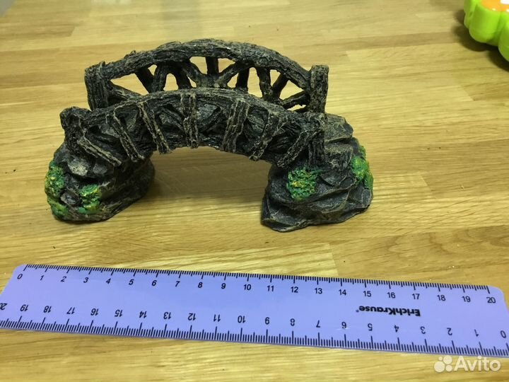 Эхинодорус, мох риччия, микрантемум, анубиас