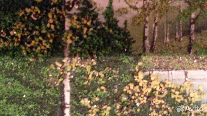 Панно из камня- 2 шт