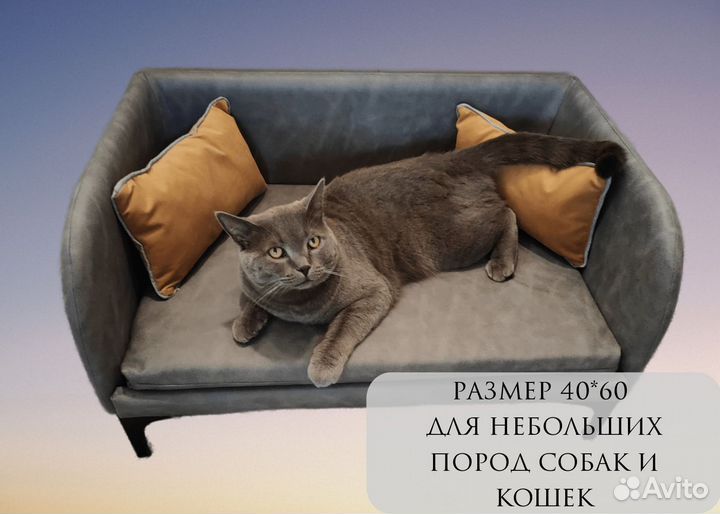 Зоодиван для животных