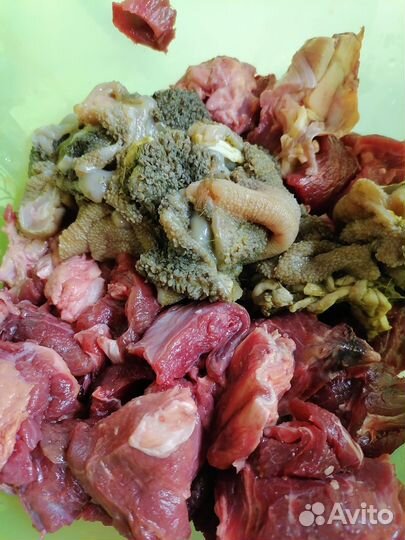 Мясо, птица и мясо продукты для собак