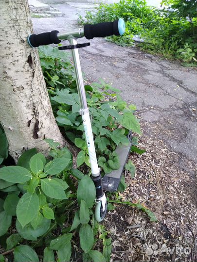 Самокат capella