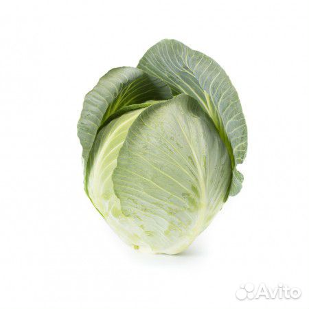Семена Капусты 