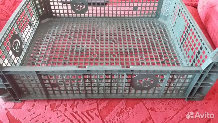 Ящики грибные