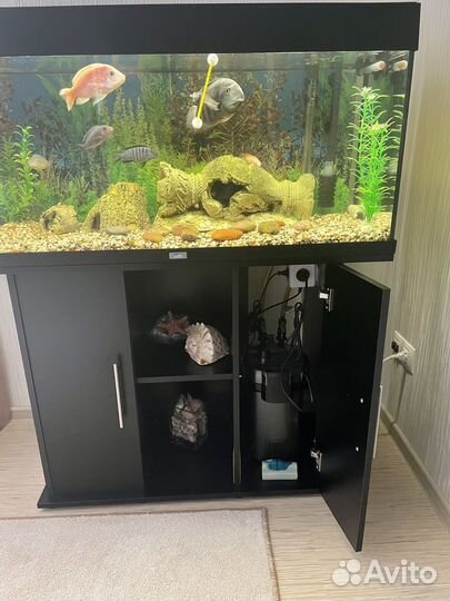 Аквариум с тумбой и рыбками