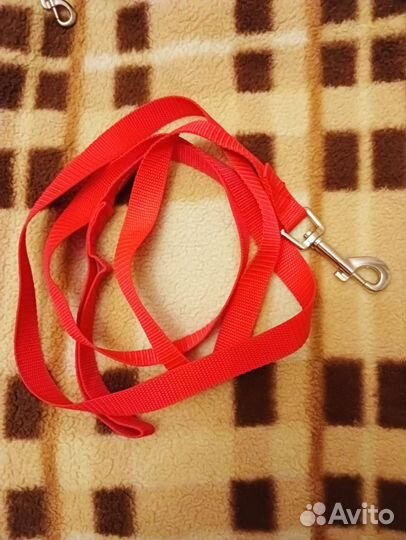 Амуниция для собак