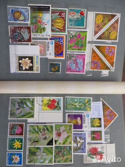 Почтовые Марки Тематический альбом Цветы
