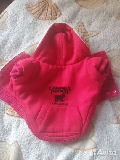 Одежда для маленькой собаки