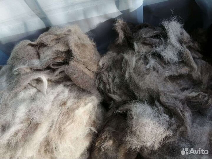 Собачья шерсть пух