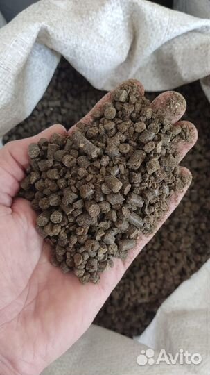 Шрот подсолнечный