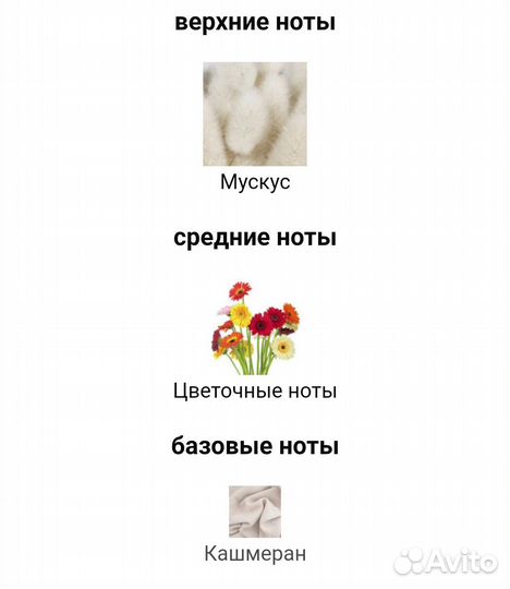 Narciso rodriguez for her