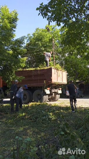 Вывоз строительного мусора