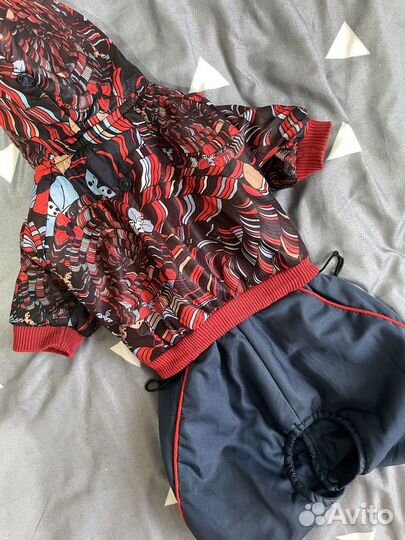 Одежда для маленьких собак