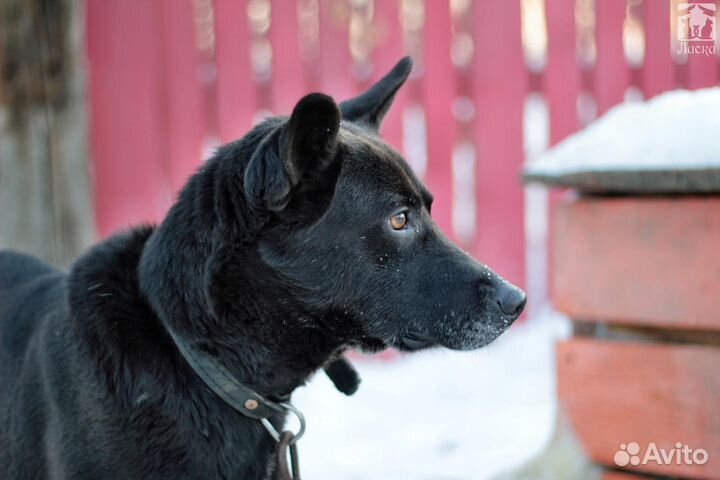 Девайс ждет хозяев