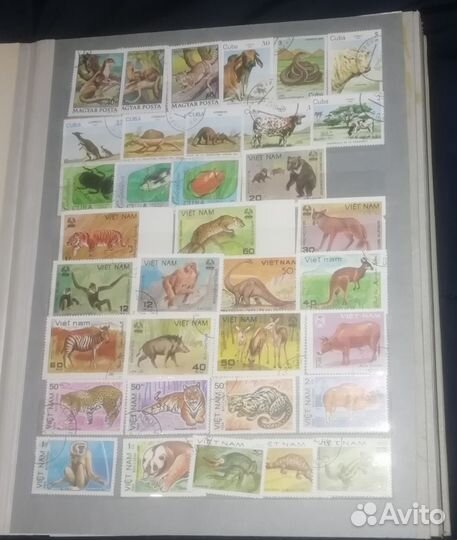 Альбом с марками