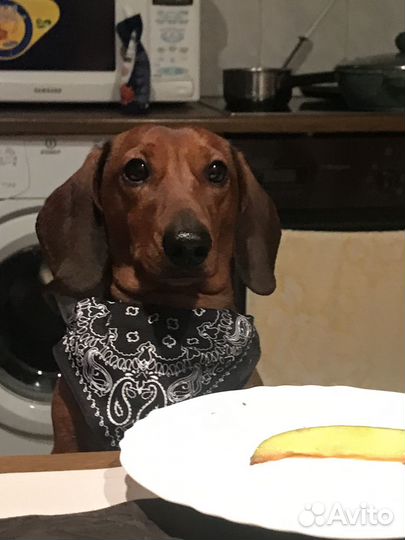 Вязка