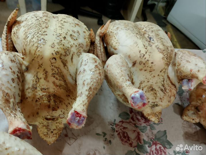 Мясо домашнего бройлера