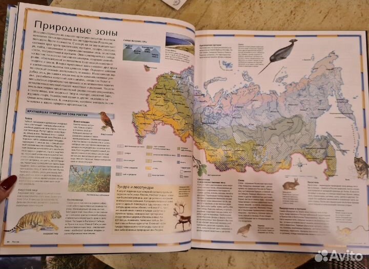 Атлас мира иллюстрированный