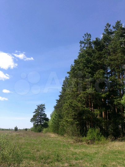 Участок 12 сот. (ИЖС)