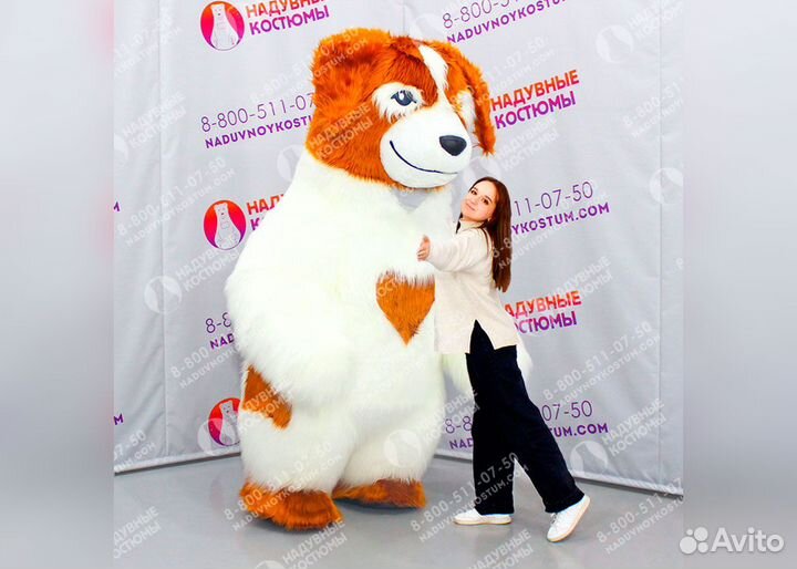 Костюм собака ростовой с сердечком 2,2 метра