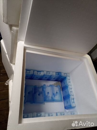 Термоконтейнер термобокс с аккумуляторами холода