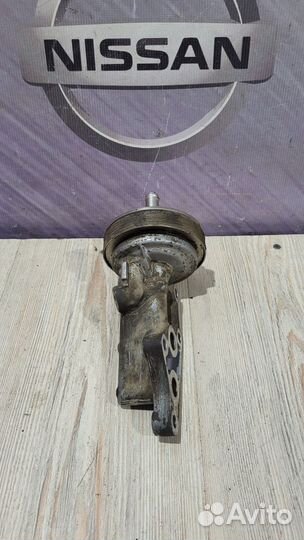 Радиатор масляный Nissan primera P12