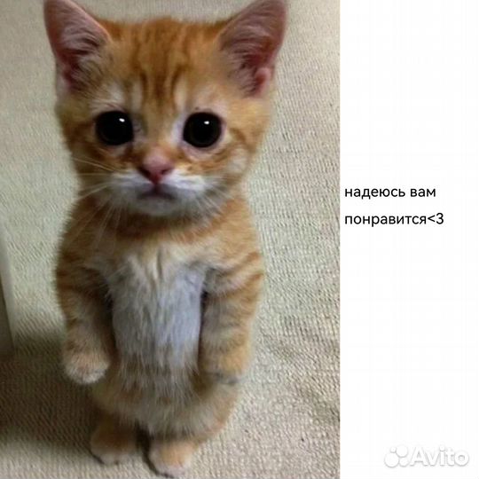 Декоративные тарелочки