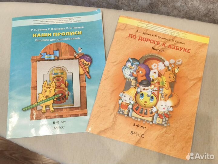 Наши прописи и Дорога к азбуке, Автор Бунеев