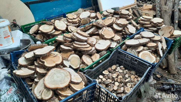 Спилы можевельника