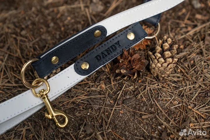 Поводок для собак