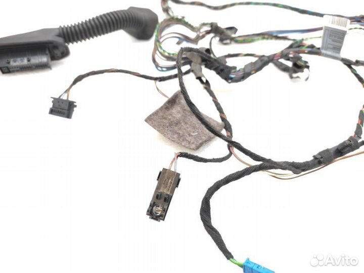 Проводка двери задняя левая Bmw X5 E70 N52B30 2008