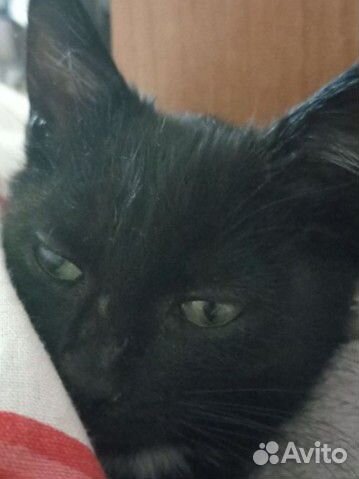 Книги для подростков