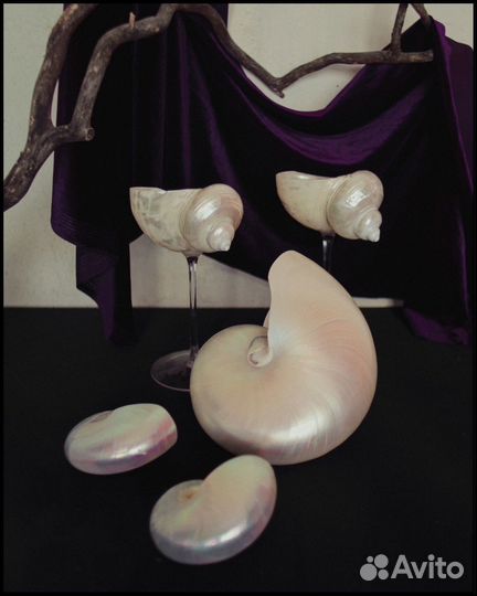 Бокалы ракушка ручной работы