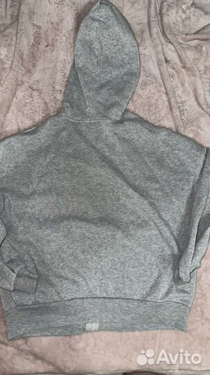 Зипка серая